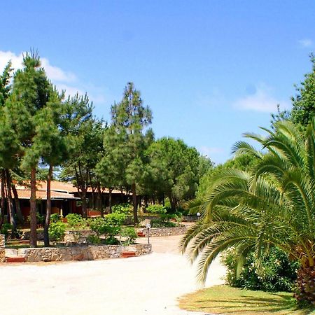 פאלאו Residence Blue Corner Porto Pollo מראה חיצוני תמונה