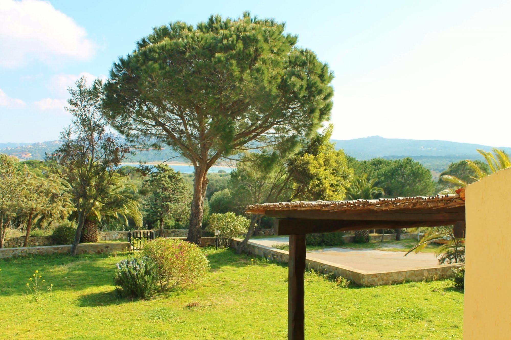 פאלאו Residence Blue Corner Porto Pollo מראה חיצוני תמונה